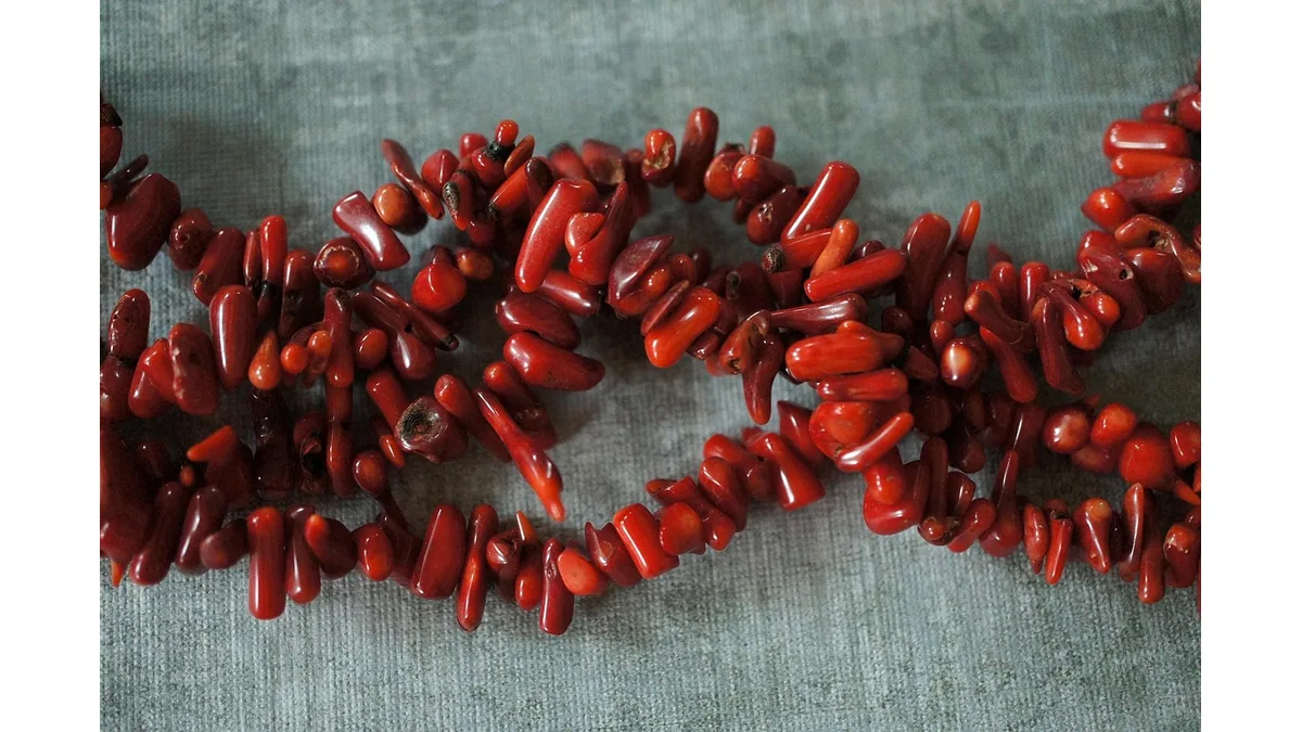 Éléments rouges ramifiés assemblés en collier
